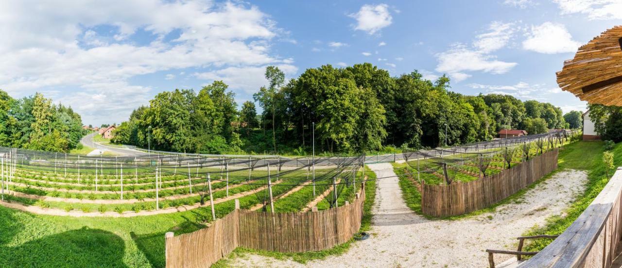 Apartma Zemljanka Ljutomer Esterno foto
